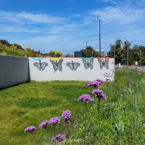 Sun-sensing butterflies